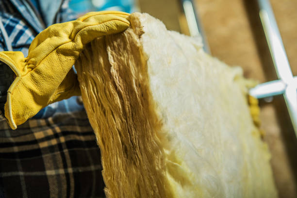 Best Cellulose Insulation in Alturas, CA